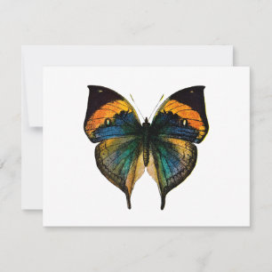 Carte Papillon vintage - 1800's Antique Butterfly Litho
