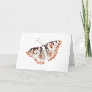 Carte Papillon vintage ancienne illustration