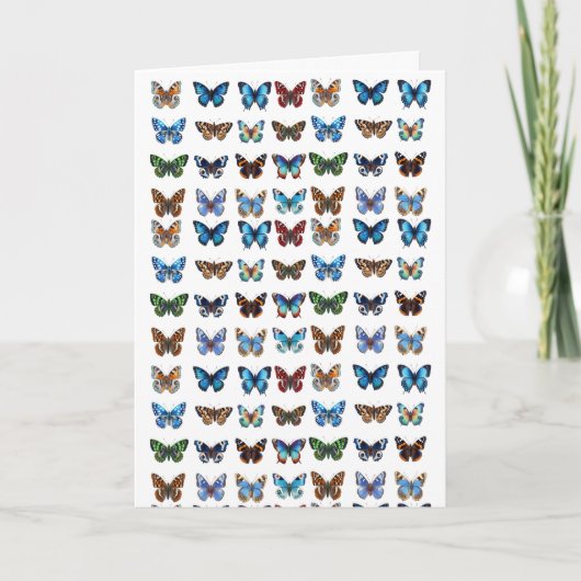 Carte Papillons (Devant)