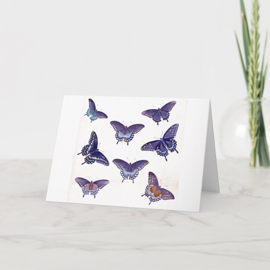 Carte Papillons bleus vintages Illustration Art (Devant)