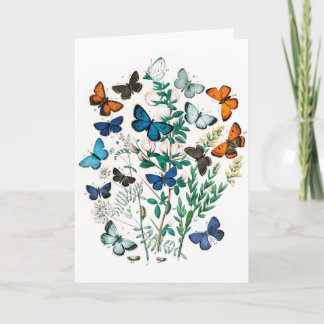 Carte Papillons colorés vintages Illustration Art