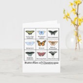Carte Papillons de Chautauqua (Fleur jaune)