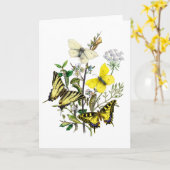 Carte Papillons de machaon de tigre (Fleur jaune)