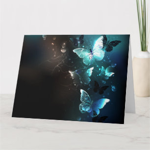 Carte Papillons de nuit