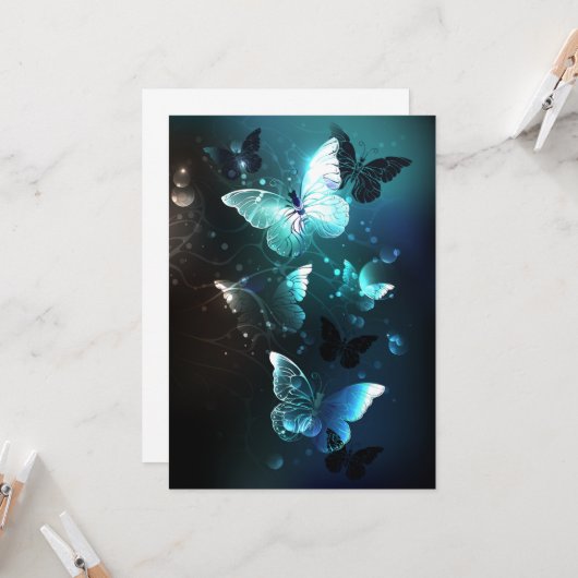 Carte Papillons de nuit (Devant/Arrière en situation)