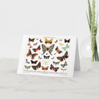 Carte Papillons vintages Vieux livre Illustration