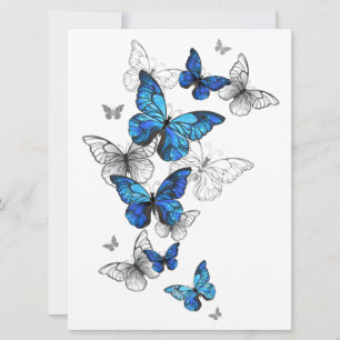 Carte Papillons volants bleus Morpho