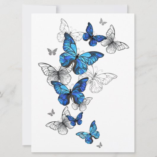 Carte Papillons volants bleus Morpho (Devant)