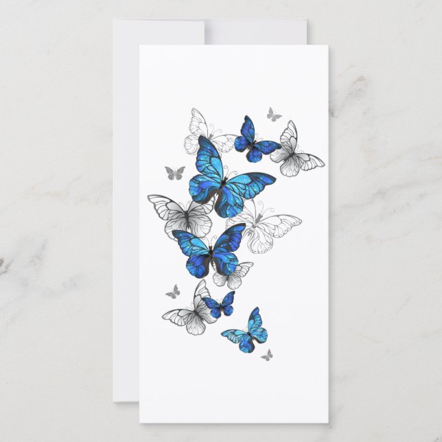 Carte Papillons volants bleus Morpho (Devant)