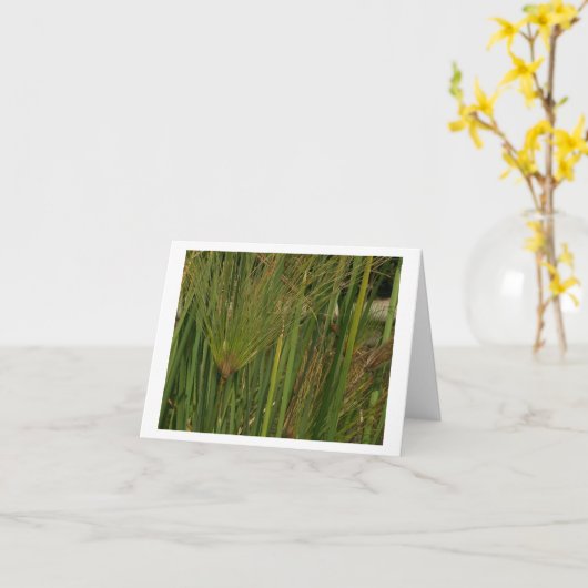 Carte Papyrus (Fleur jaune)