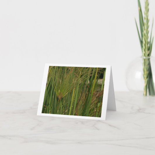 Carte Papyrus (Devant)