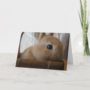 Carte Pâques Bunny