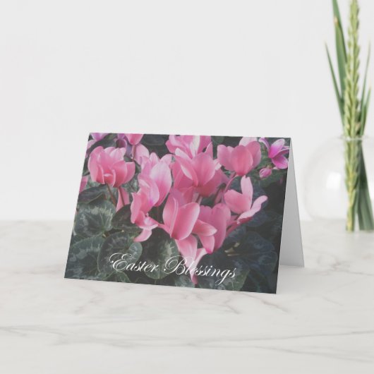 Carte Pâques Cyclamen Rose (Devant)