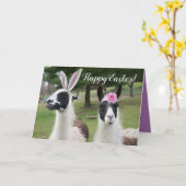 Carte Pâques joyeuses de 2 lamas de Pâques (Fleur jaune)