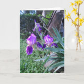 Carte Pâques "Purple Iris" (Fleur jaune)