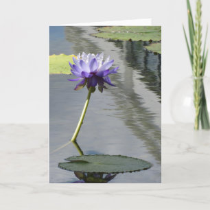 Carte Pâques "Purple Water Lily"