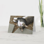 Carte Pâques Tabby Cat Updown (Devant)