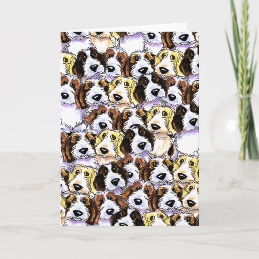 Carte Paquet de PBGV (Devant)