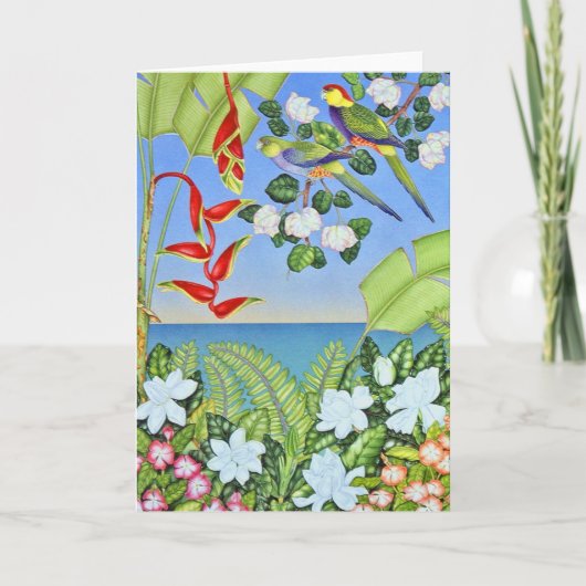 Carte Paradise Parrot (Devant)