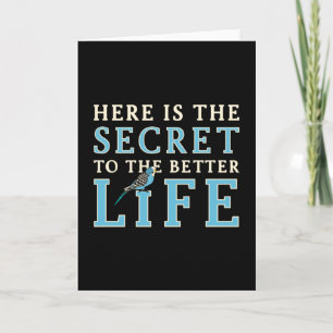 Carte Parakeet Lover Secret vers un meilleur budget de v