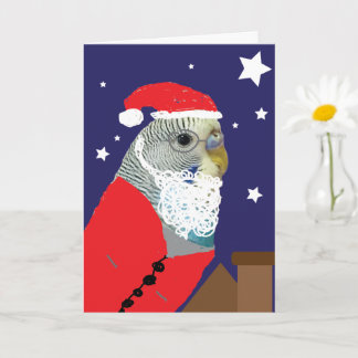 Carte Parakeet Santa Clause Christmas Card