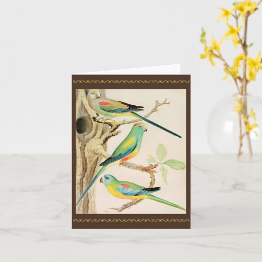 Carte Parakeet Turquoise (Fleur jaune)