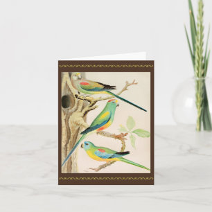 Carte Parakeet Turquoise