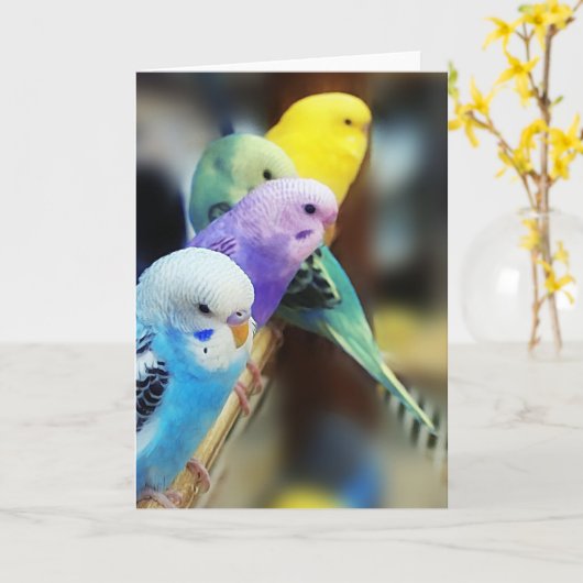 Carte Parakeets (Fleur jaune)