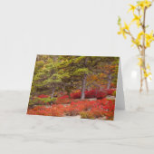 Carte Parc national de l'Acadie, Maine (Fleur jaune)