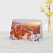 Carte Parc national du Bryce Canyon (Fleur jaune)