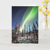 Carte Parc national du nord des lumières | Denali (Fleur jaune)