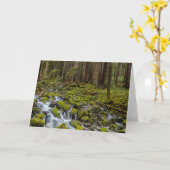 Carte Parc national olympique, État de Washington (Fleur jaune)