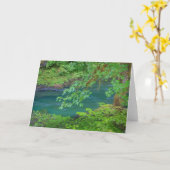 Carte Parc national olympique Washington State (Fleur jaune)