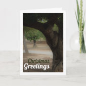 Carte Parc San Vicente Lliria, Valence (Devant)