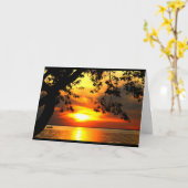 Carte Parcourez L'Humour De Retraite Du Coucher Du Solei (Fleur jaune)