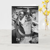Carte Pardonne-moi | Désolé | Funny Chihuahua (Fleur jaune)