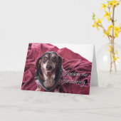 Carte Pardonnez-moi pour Staring - Dachsund Anniversaire (Fleur jaune)