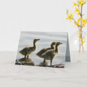 Carte Parement de la lumière (Fleur jaune)