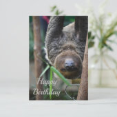 Carte Paresseux se détendant au zoo d'Édimbourg (Debout devant)