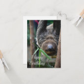 Carte Paresseux se détendant au zoo d'Édimbourg (Devant/Arrière en situation)