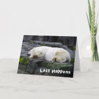 Paresseux se produit l'ours blanc