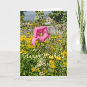 Carte Parfait Hollyhocks rose (Althaea)