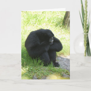 Carte Parfois Même Les Singes Ont De Mauvais Jours