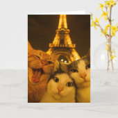 Carte Paris Night Cat Selfie Squad Lover                 (Fleur jaune)