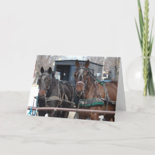 Carte Parking pour chevaux