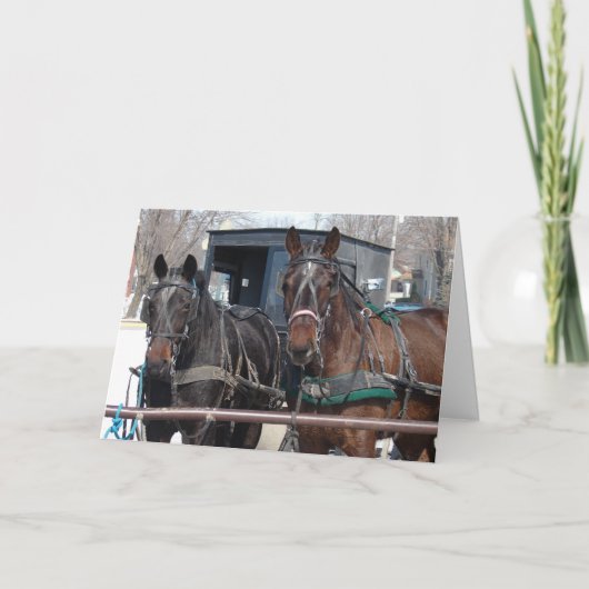 Carte Parking pour chevaux (Devant)
