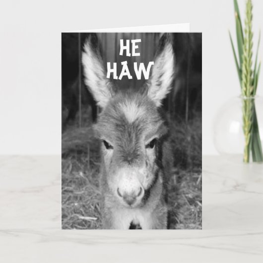 CARTE PARLER À DONKEY HEW HAWS HAPPY BANTHDAY WISHHES (Devant)