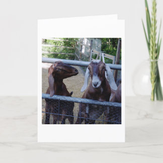 Carte Parler aux filles