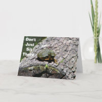 PARLER DE TURTLE-NE VOUS ASSEZ PAS SEULEMENT LÀ, J