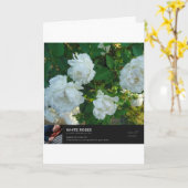 Carte Paroles d'amour (Fleur jaune)